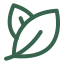 leaf Leaf Removal icon