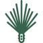pine-needle Pine Needle and Mulch Service icon